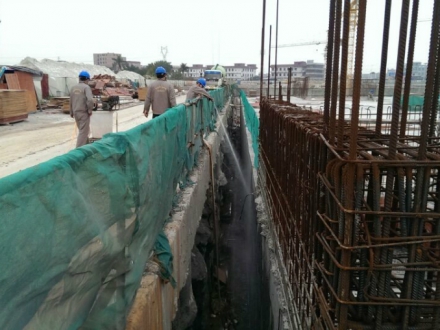 新建楼房白蚁预防    