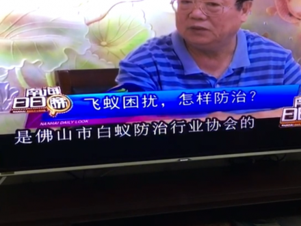 接受南海电视台采访